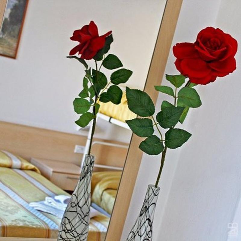Hotel New Primula Ріміні Екстер'єр фото